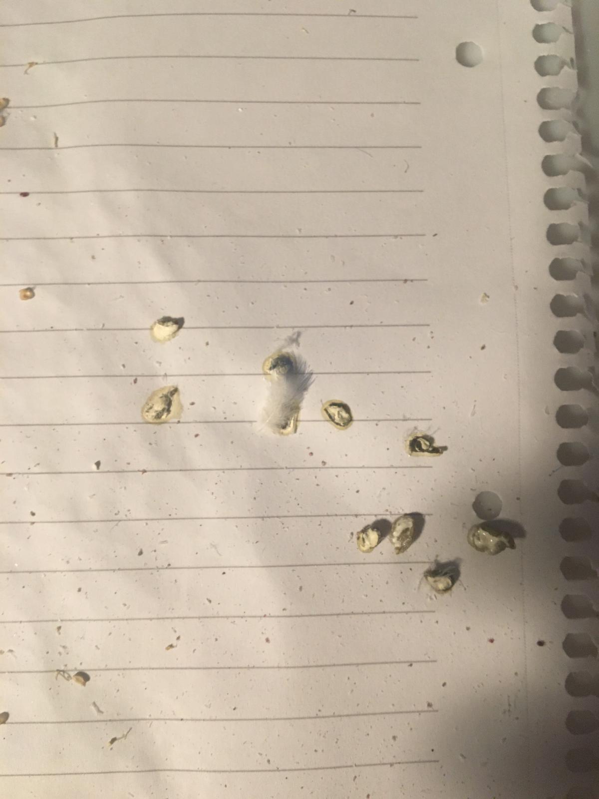 WhatsApp Image 2020-01-16 at 10.20.54.jpeg